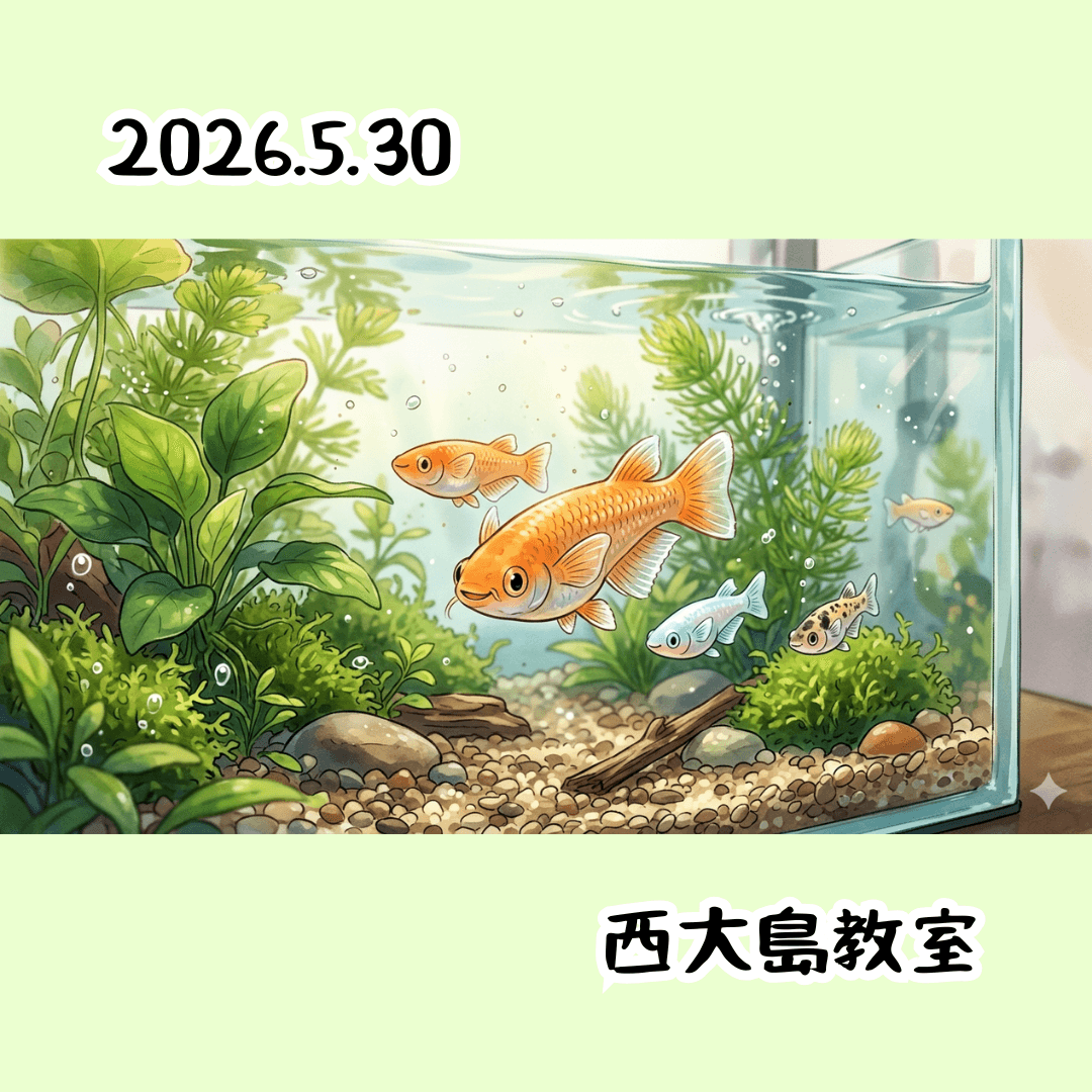 教室の様子(2026.5.30.西大島教室)