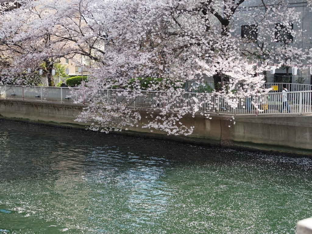 教室の様子(東陽町 2023.4.1)